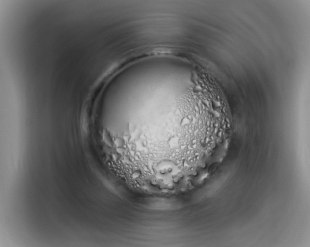X0000114030347200910021443