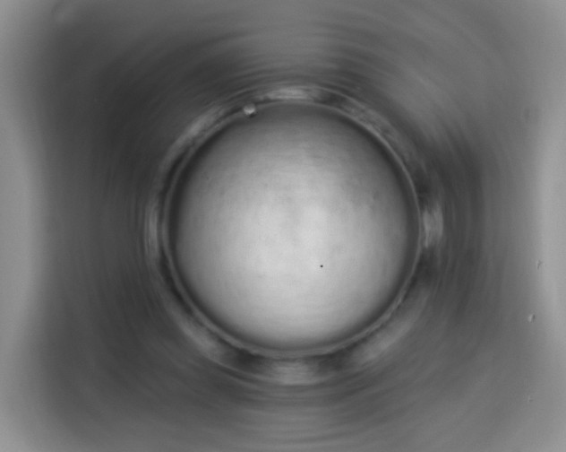 X0000114030349200910021443