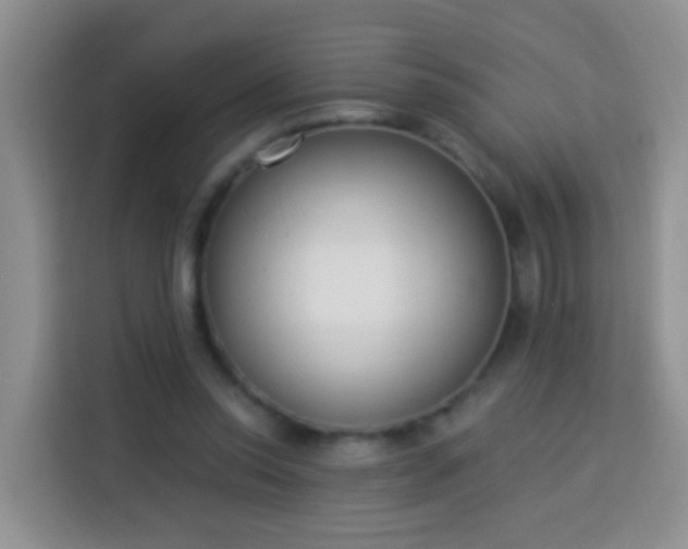 X0000114030350200910021443