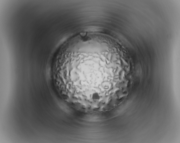 X0000114030351200910021443