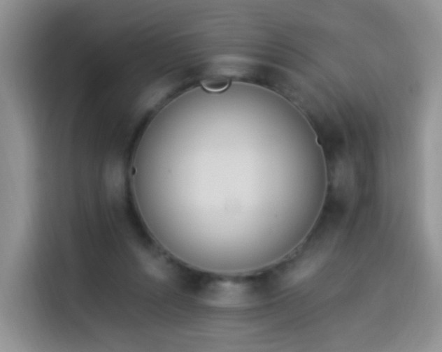 X0000114030352200910021443