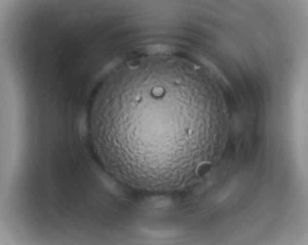 X0000114030353200910021443