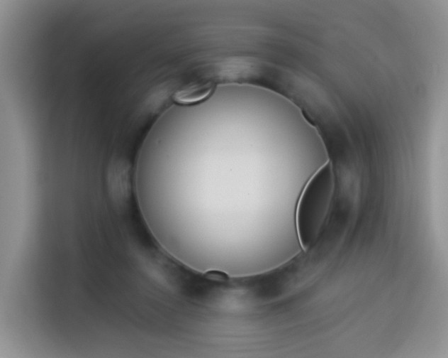 X0000114030356200910021443