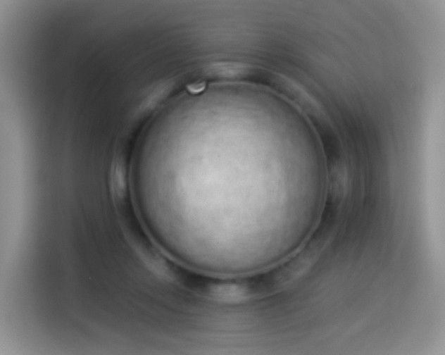X0000114030358200910021443