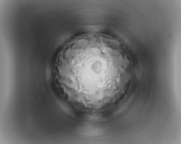 X0000114030359200910021443