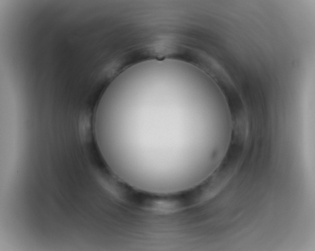 X0000114030360200910021443