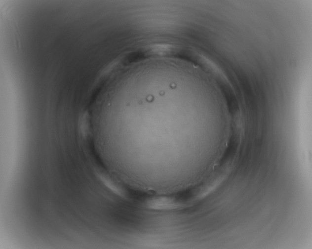 X0000114030361200910021443
