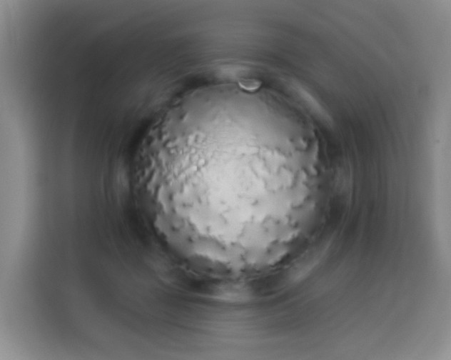 X0000114030363200910021443