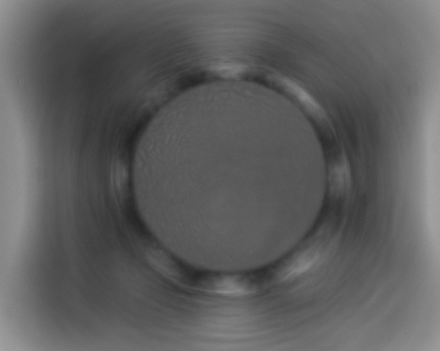 X0000114030365200910021443