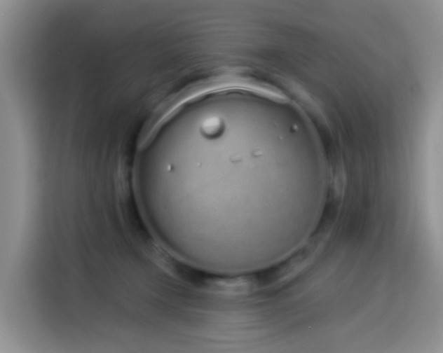 X0000114030366200910021443
