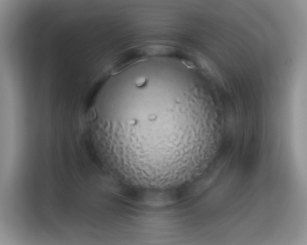 X0000114030367200910021443