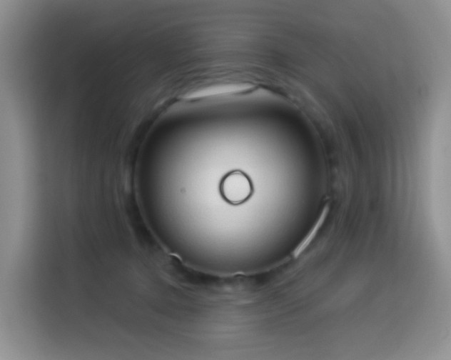 X0000114030368200910021443
