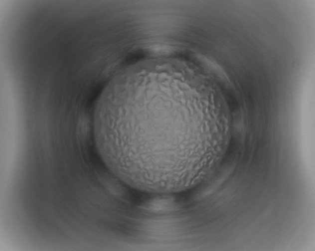 X0000114030369200910021443