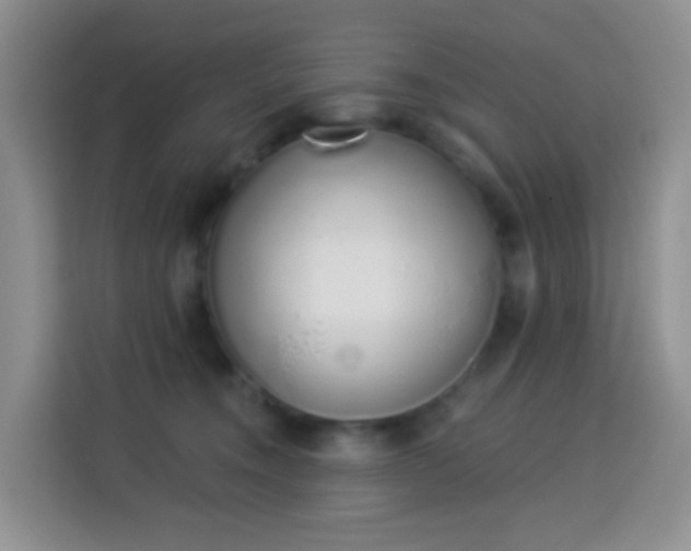 X0000114030372200910021443