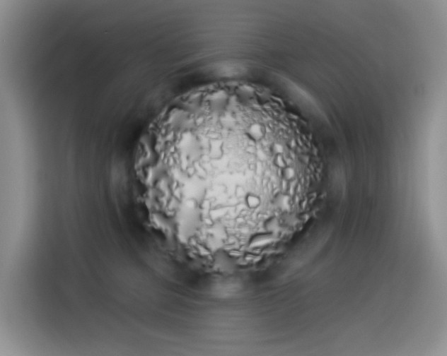 X0000114030373200910021443