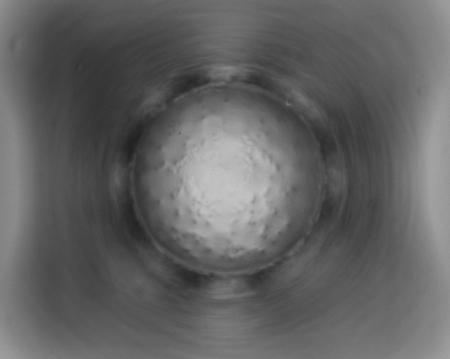 X0000114030375200910021443