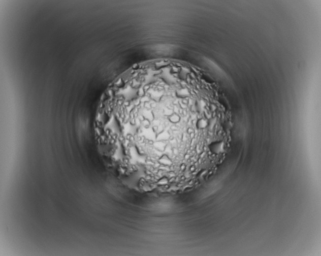 X0000114030377200910021443