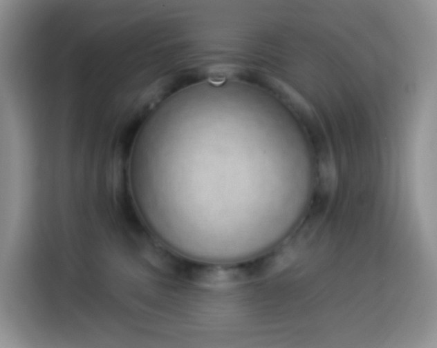 X0000114030379200910021443