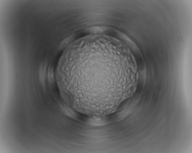 X0000114030381200910021443