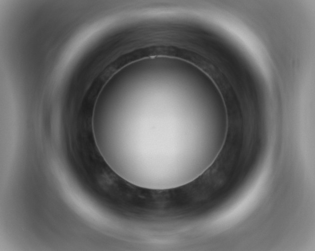 X0000114030382200910021443