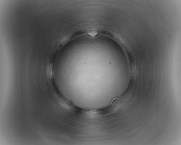 X0000114030383200910021443