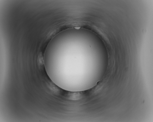 X0000114030384200910021443