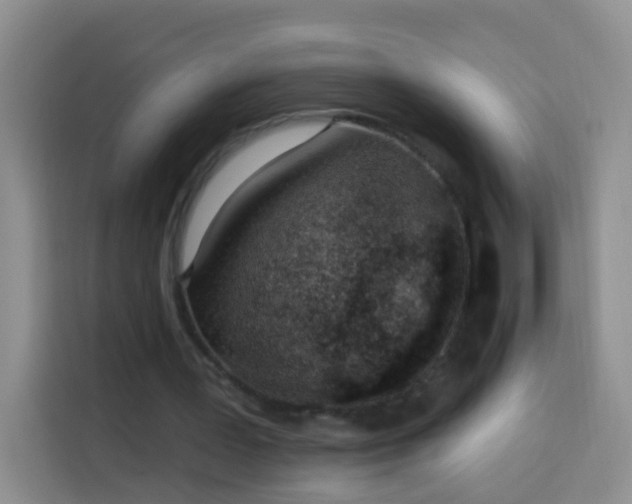 X0000114030387200910021443