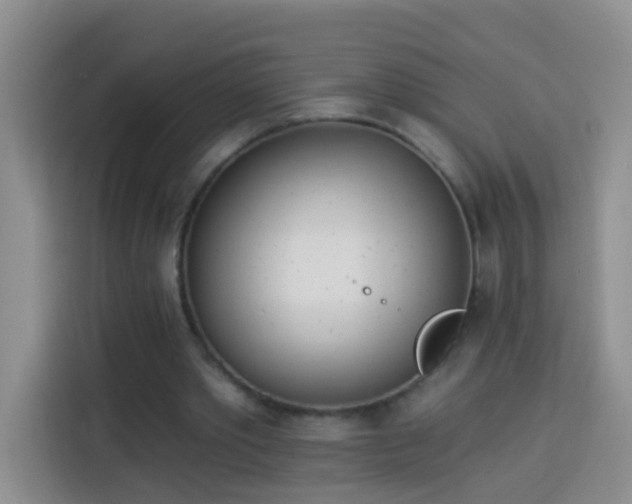 X0000114030389200910021443