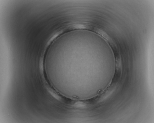 X0000114030390200910021443