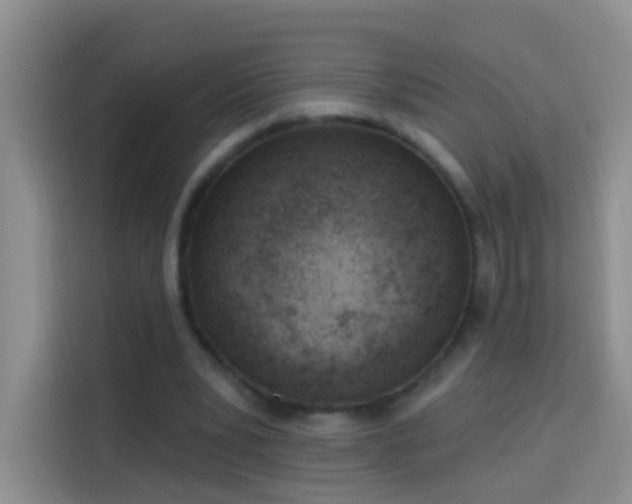 X0000114030391200910021443