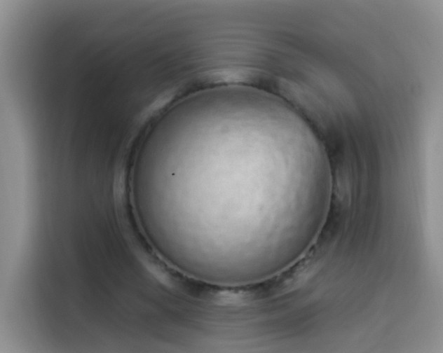 X0000114030394200910021443