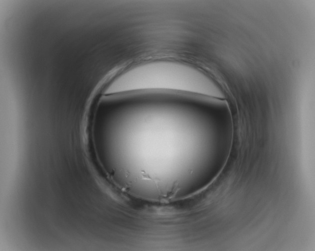 X0000114030395200910021443