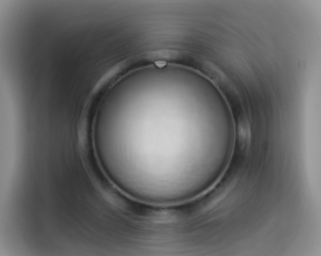 X0000114030396200910021443