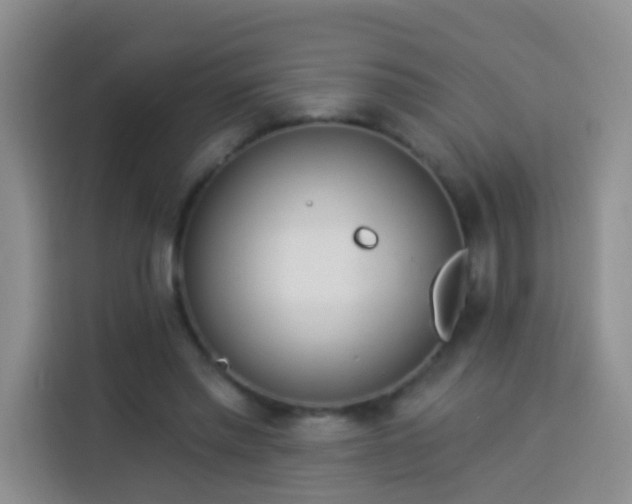 X0000114030397200910021443