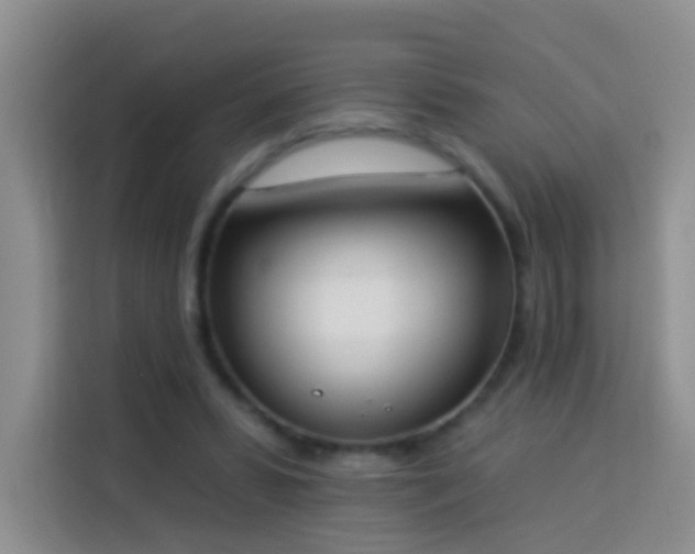 X0000114030399200910021442