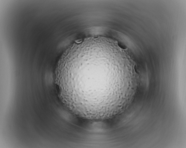 X0000114030401200910021442