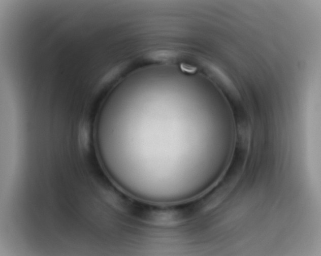 X0000114030404200910021442