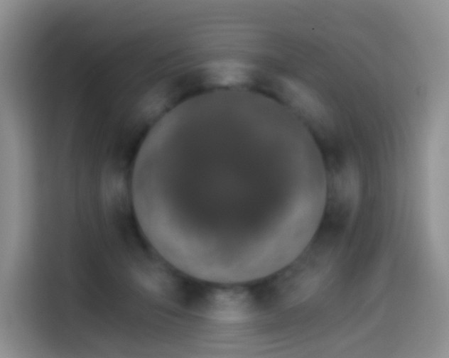 X0000114030415200910021442