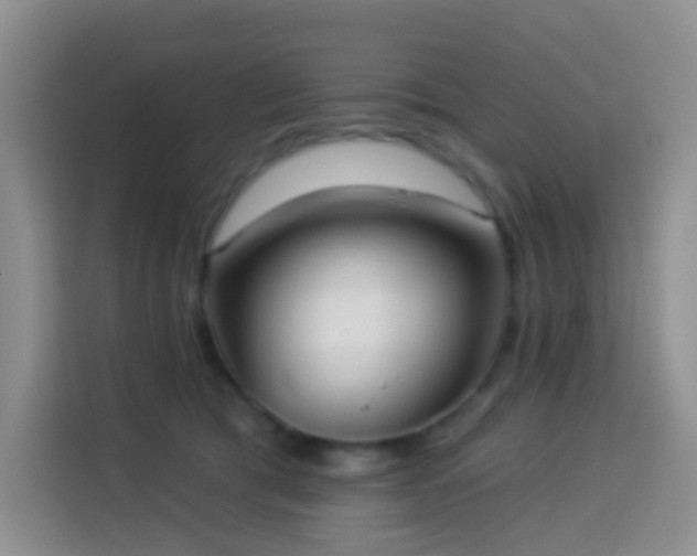 X0000114030417200910021442
