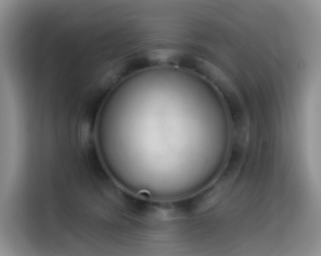 X0000114030420200910021442