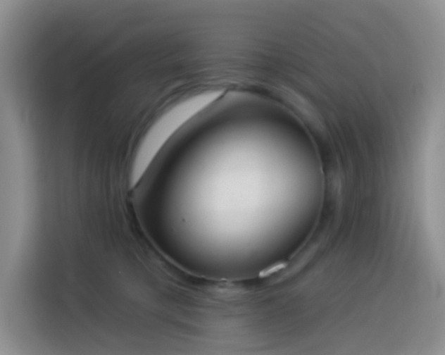 X0000114030421200910021442