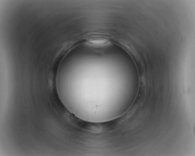 X0000114030423200910021442