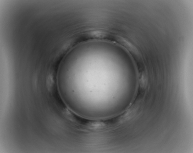 X0000114030424200910021442