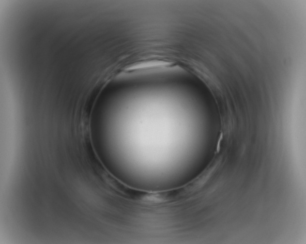 X0000114030425200910021442
