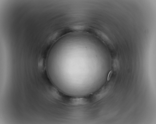 X0000114030428200910021442
