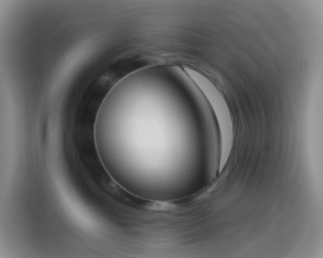 X0000114030429200910021442