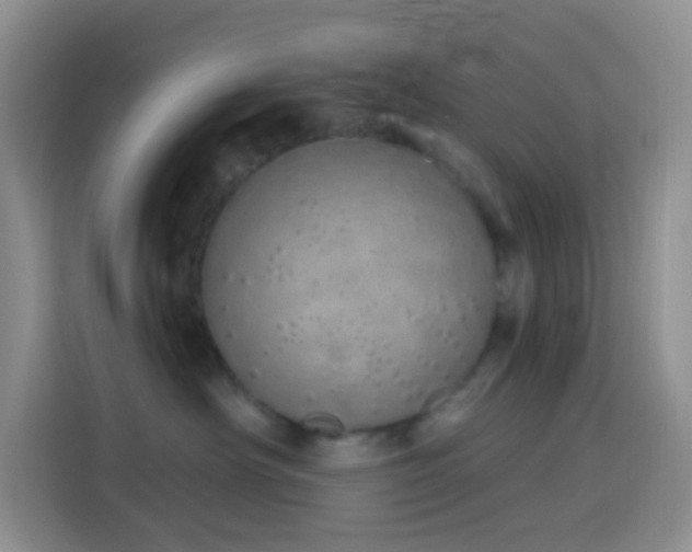 X0000114030430200910021442