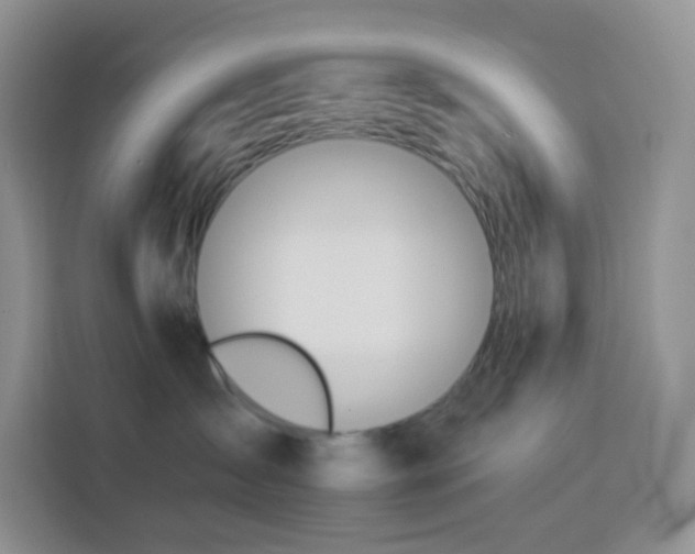 X0000114030431200910021442