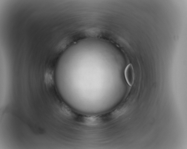 X0000114030432200910021442