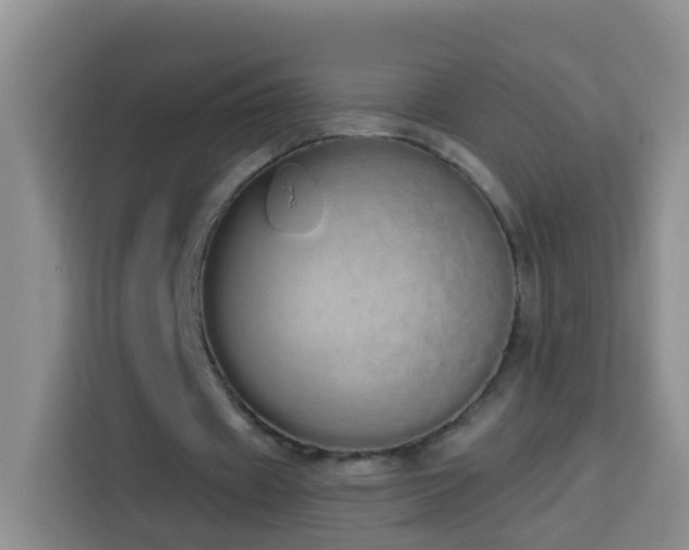 X0000114030433200910021441